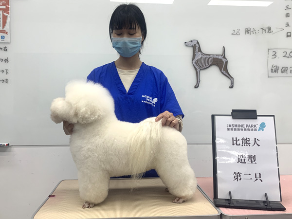 广州C级国际宠物美容师基础班