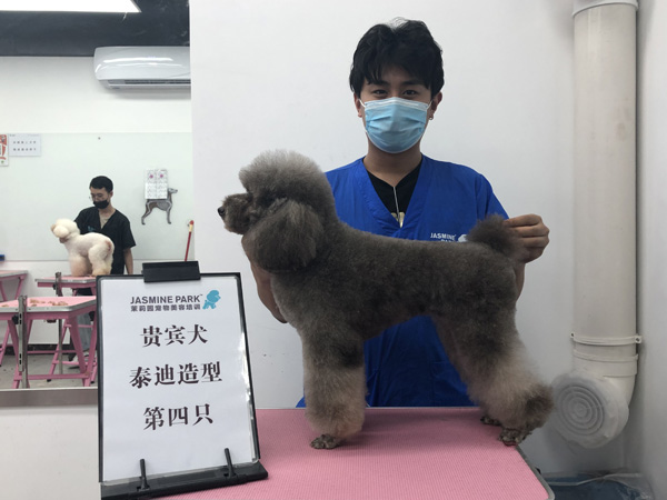 广州C级国际宠物美容师基础班