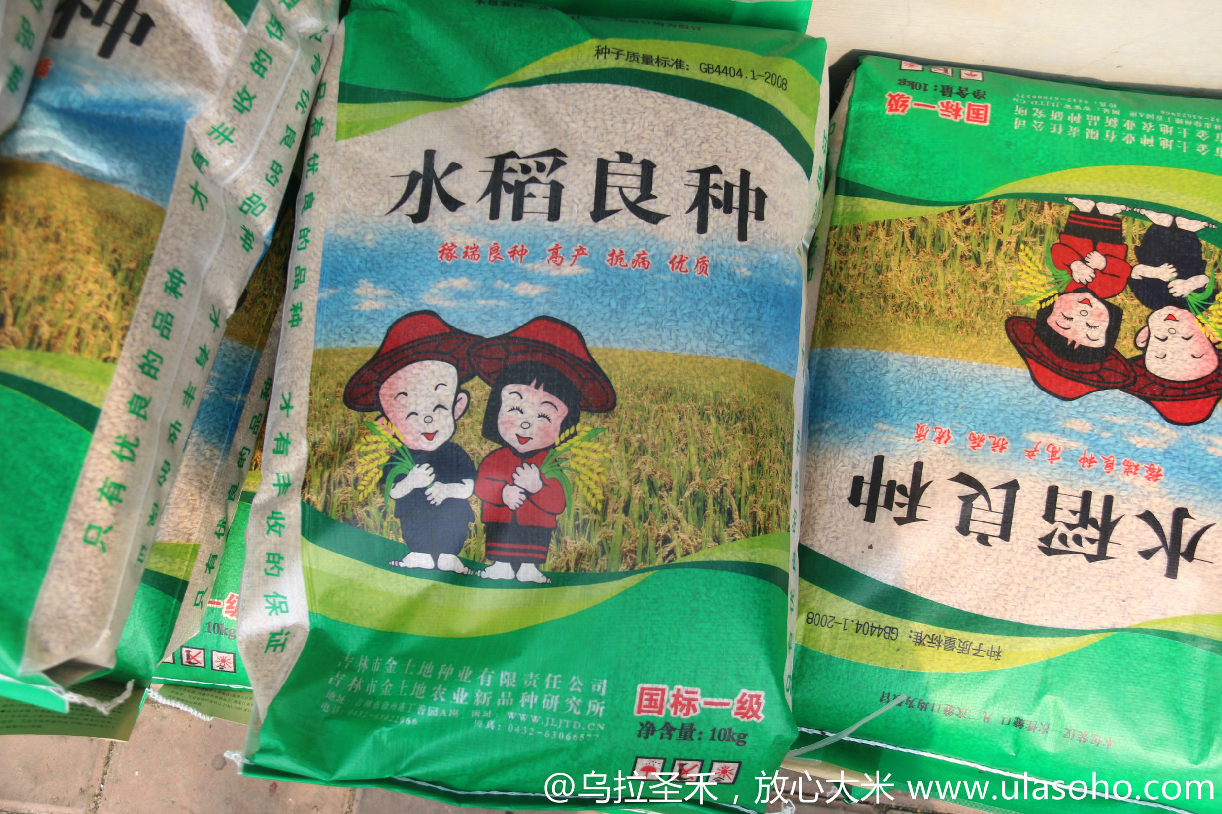 乌拉圣禾大米水稻国家一级良种