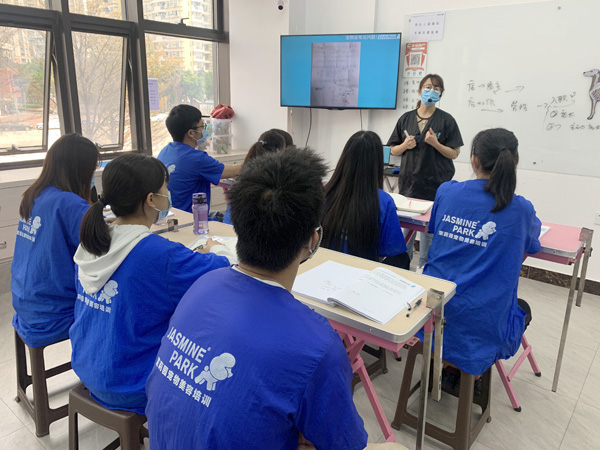 广州C级国际宠物美容师基础班