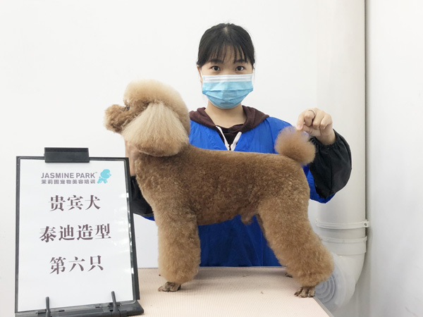 广州C级国际宠物美容师基础班