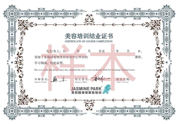 广州A级国际宠物美容师考证班