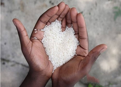 乌拉圣禾教你分辨香精大米