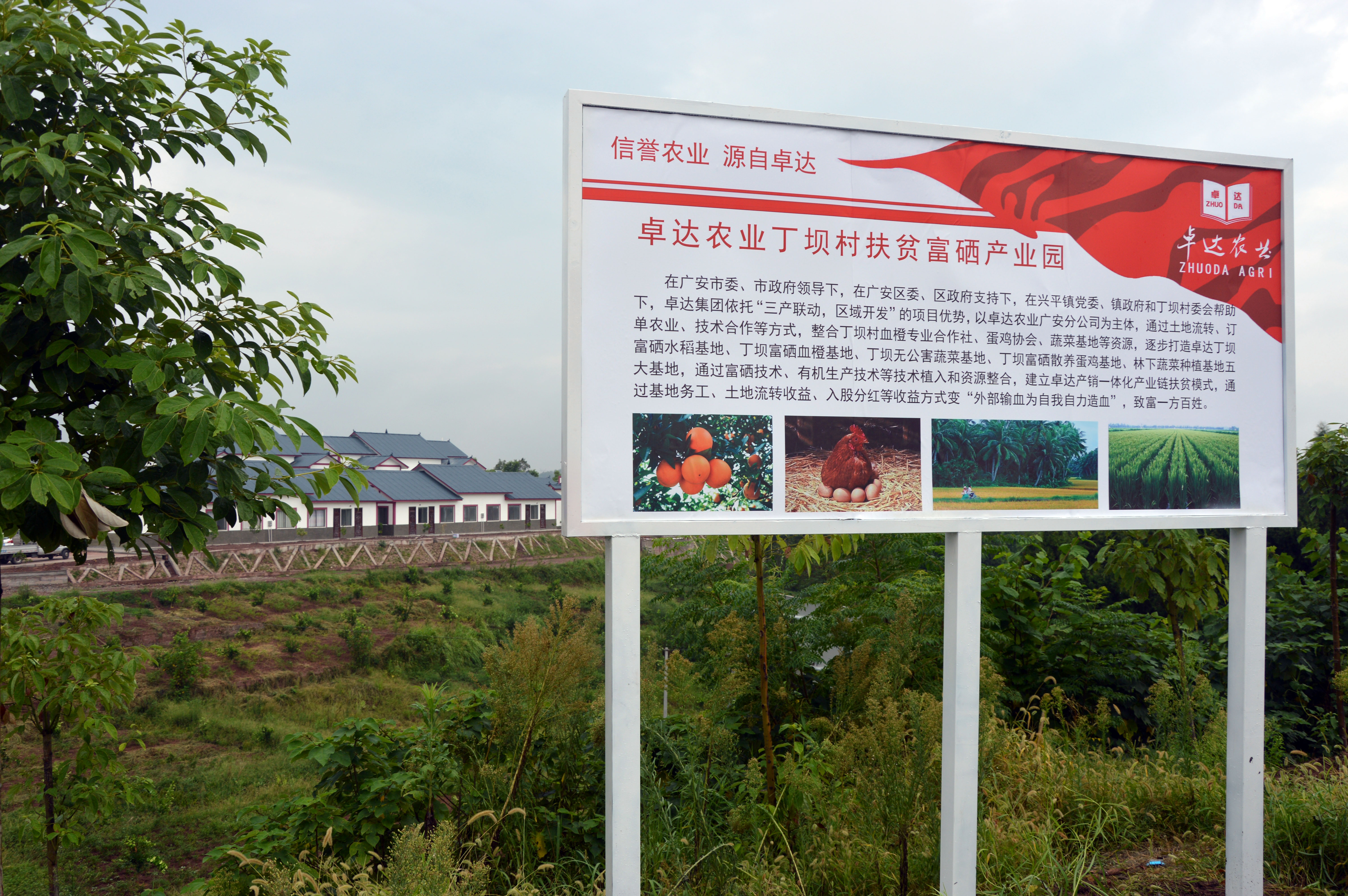 多渠道兑换平台_多渠道增加农民收入(2)