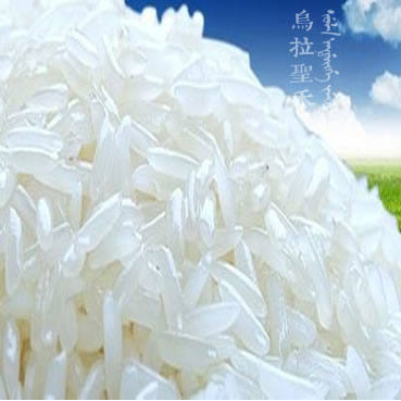 乌拉圣禾教你大米质量的好坏如何判断
