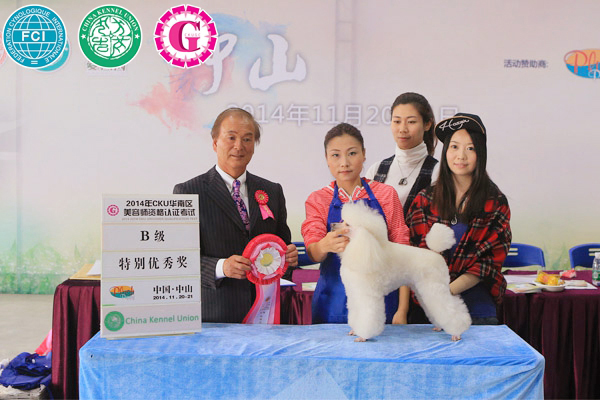 广州C级国际宠物美容师基础班