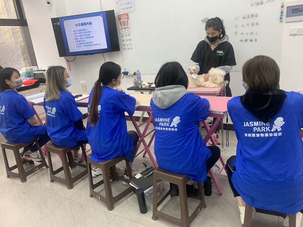 广州C级国际宠物美容师基础班