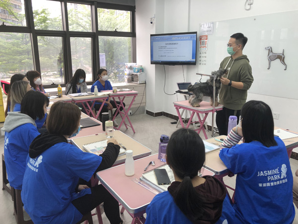 广州C级国际宠物美容师基础班