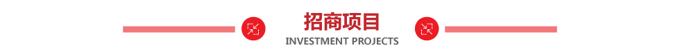 招商项目