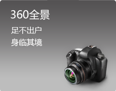 360全景