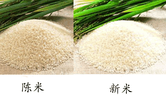 乌拉圣禾教你挑选大米