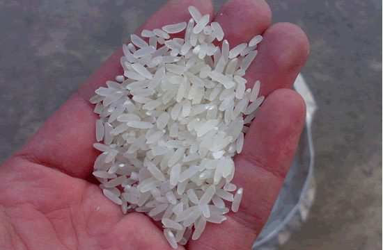 乌拉圣禾教你挑选大米