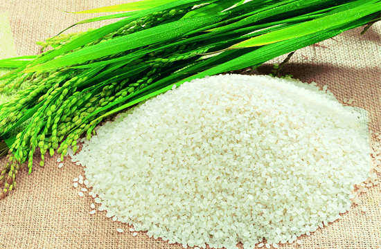 东北大米十大品牌