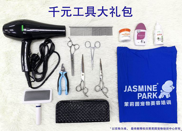 广州C级国际宠物美容师基础班