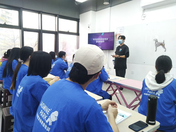 广州C级国际宠物美容师基础班