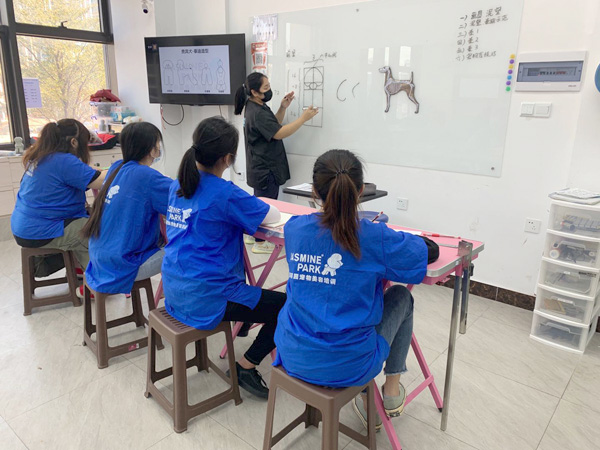广州C级国际宠物美容师基础班