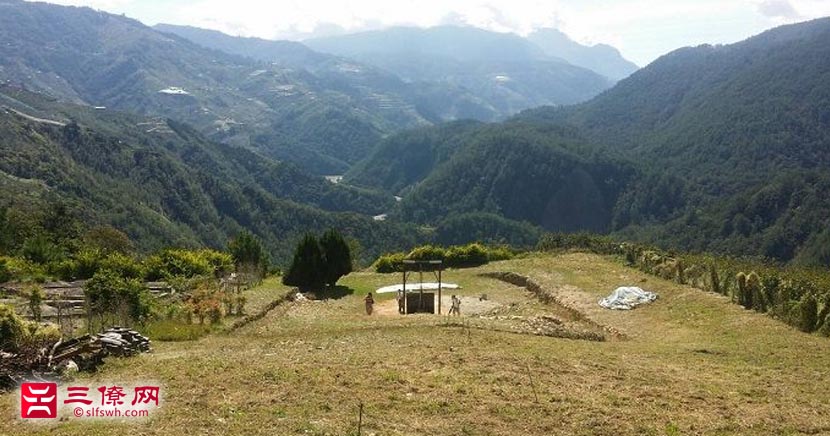 曾子南种生基秘密