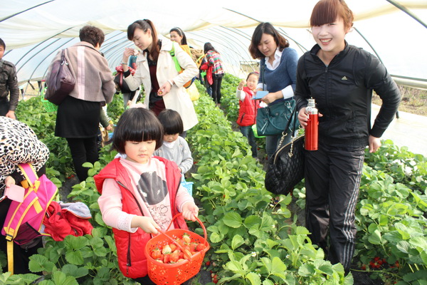 武湖生态园—踏青赏花植树,草莓采摘亲子1日游-武汉郊游圈-开启你的