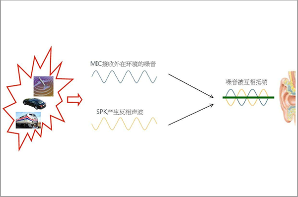 运动