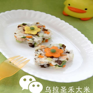 婴幼儿大米宝宝辅食食谱花样炒饭_乌拉圣禾大米