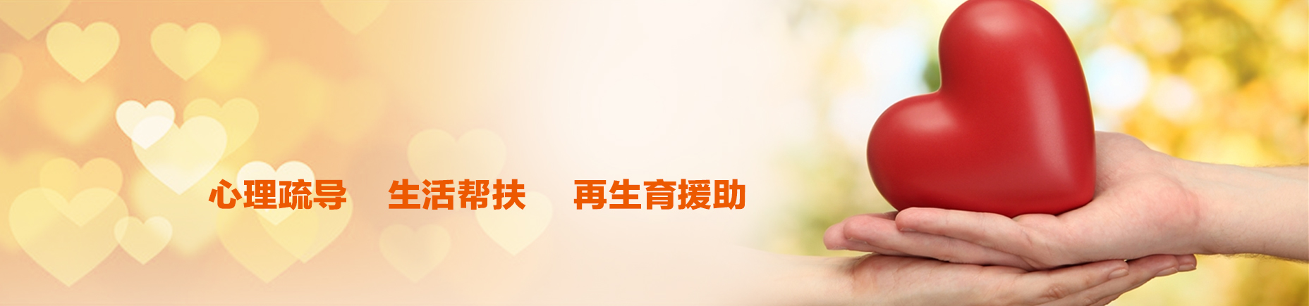 爱心鸟公益