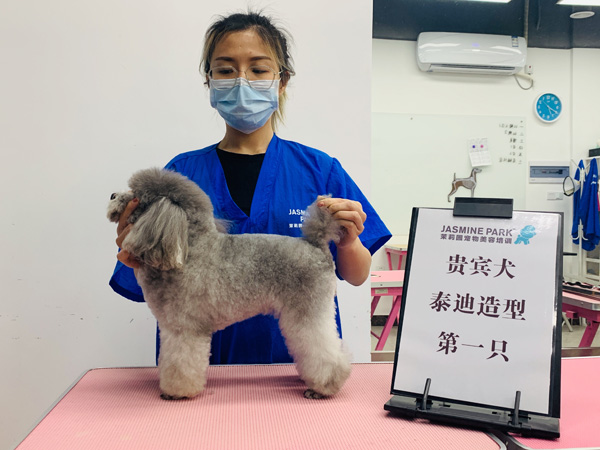 广州C级国际宠物美容师基础班