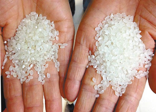 乌拉圣禾教你如何选购大米