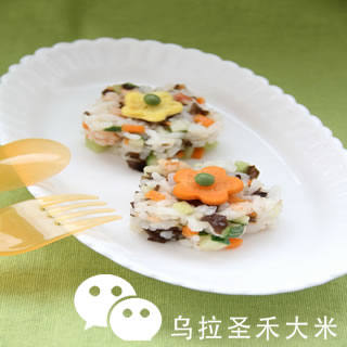婴幼儿大米营养食谱花样炒饭_乌拉圣禾大米